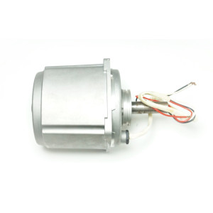 IZ.10 Електродвигун (450W)